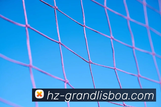 新葡京娱乐APP 体育赛事宣传图